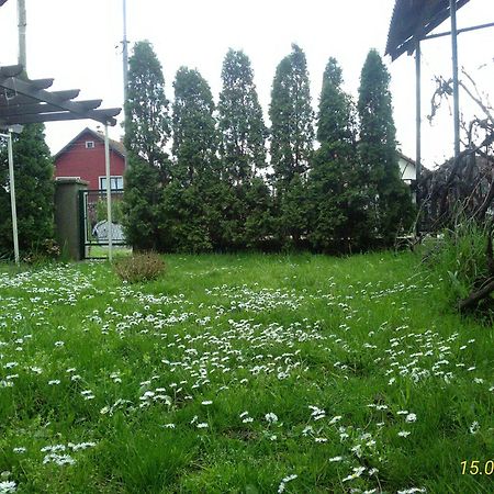 Kuca Za Odmor Jelena Apartment Kladovo Exterior photo