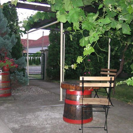 Kuca Za Odmor Jelena Apartment Kladovo Exterior photo