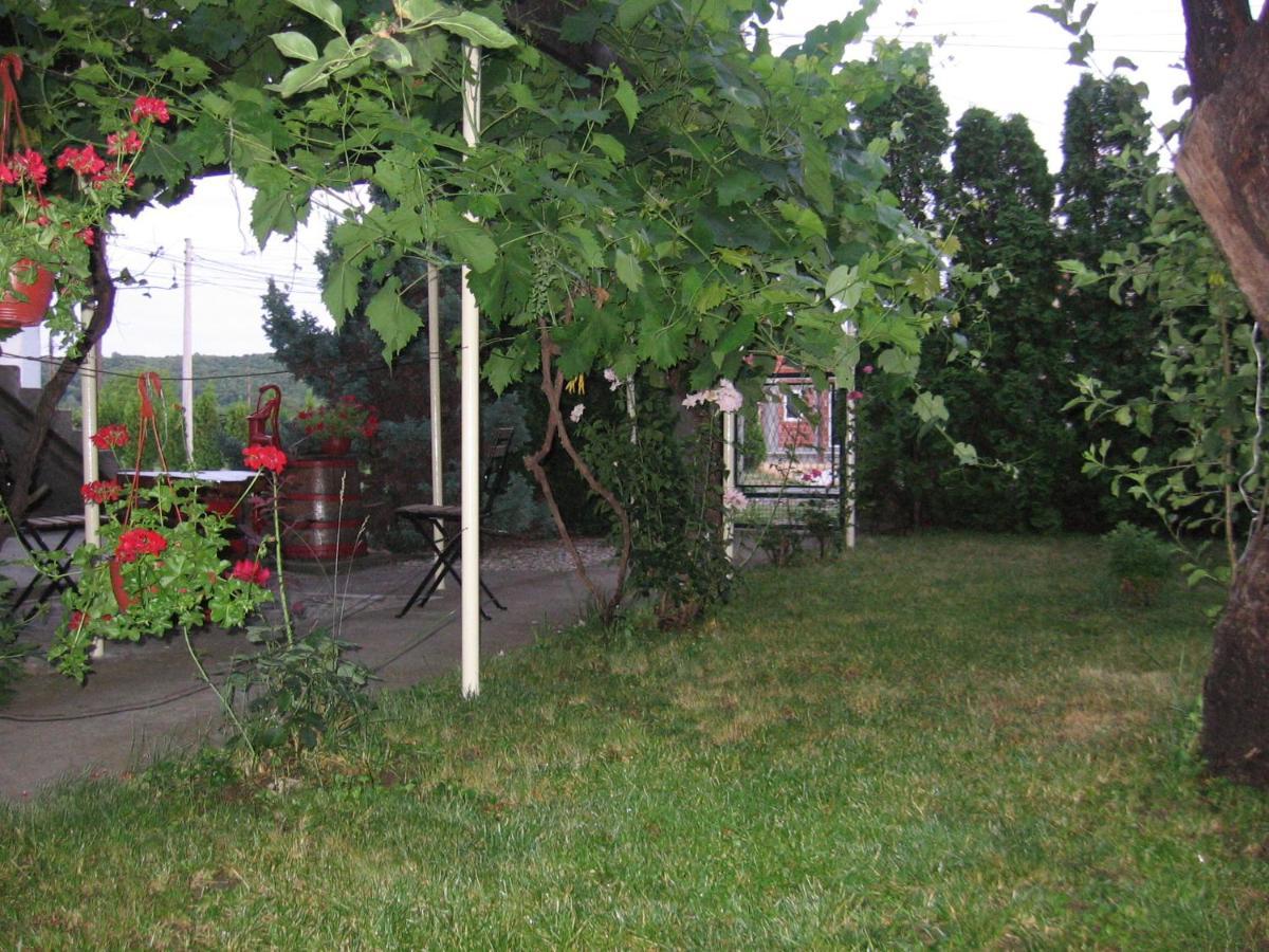 Kuca Za Odmor Jelena Apartment Kladovo Exterior photo